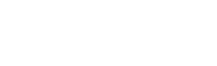 BuddyIns